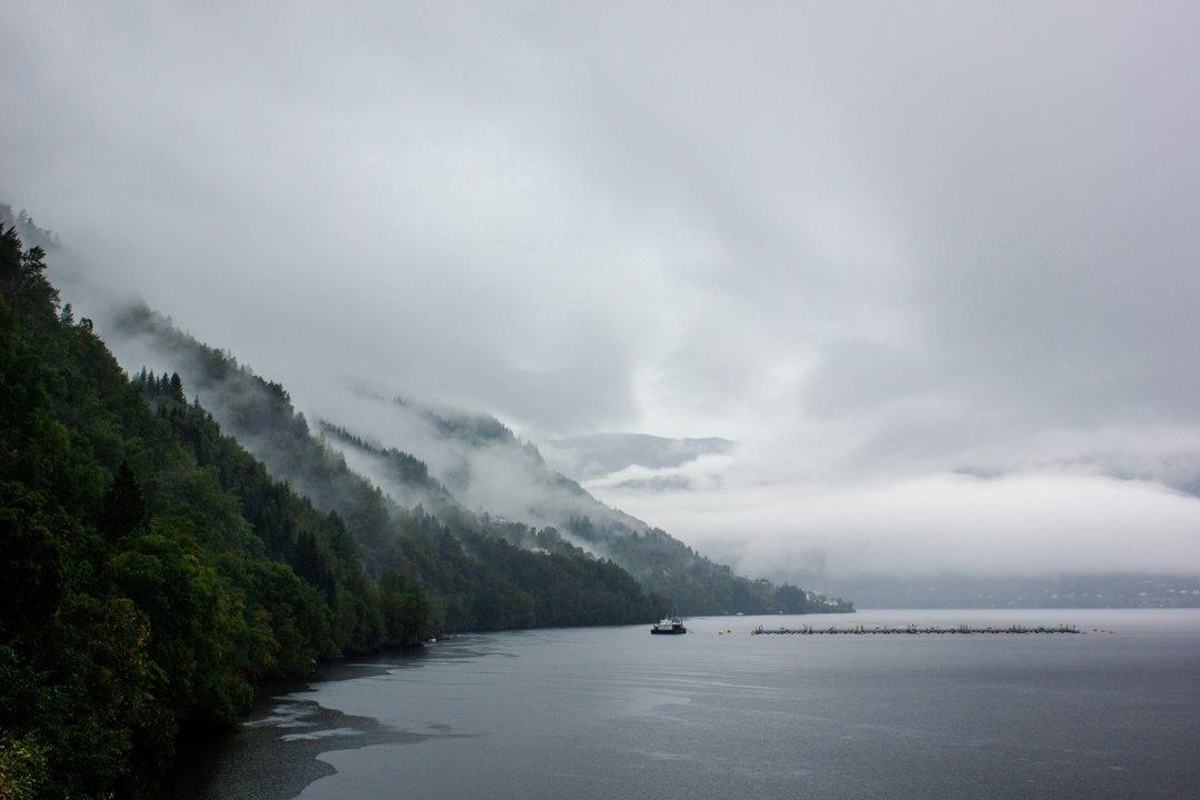 Lindesnes Hunting Lodges in Norway: Guide for Hunters.