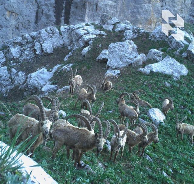 Prepare your sleigh in summer = book autumn trips in spring!