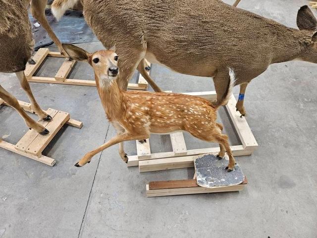Photo from news post