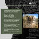 With Pete's first Elephant H.A.R.T hunt around the corner, it is important to understand the rules of a successful H.A.R.T hunt.
#hunting #elephanthunting #harthunt #africanwildlife #bighartadventures #harthunting #huntingafrica #africanhunting