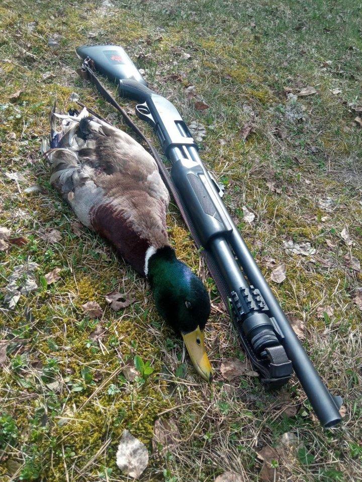 Good morning to all from Igor Krol, who opened up about a duck with a decoy🦆🇷🇺