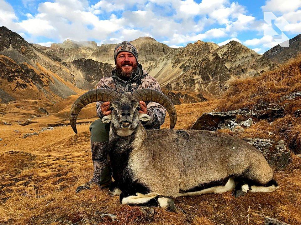 The coolest hunt with big discounts❗️