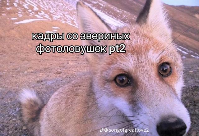 Photo from news post