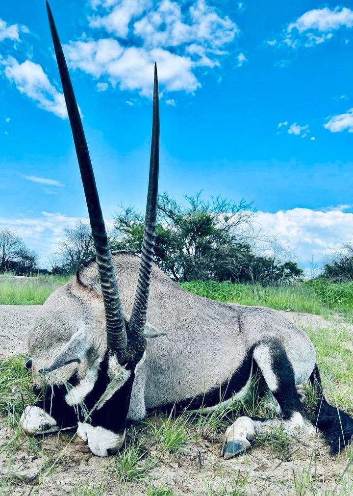 Photo from news post