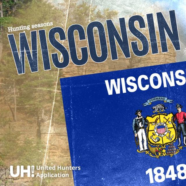 Hunting Seasons in Wisconsin 2025: Big Game and Small Game, Licenses, and Regulations Guide