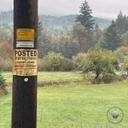 🎯 10-year-old tipster qualifies for TIP reward 

A 10-year-old, home sick from school, witnessed the poaching of a buck deer from the front yard of a residence. The poac