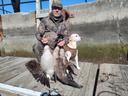 Bob with late season geese. Season ends Feb 22. We have 6 openings Feb 21 and 1 openings Feb 22.. we are booking rabbit hunts thru feb 28. Fox hunts thru feb 25. Coyote hunts thru mar 26. Crow hunts thru mar 31. Spring turkey hunts may 1-31. Good hunting! 