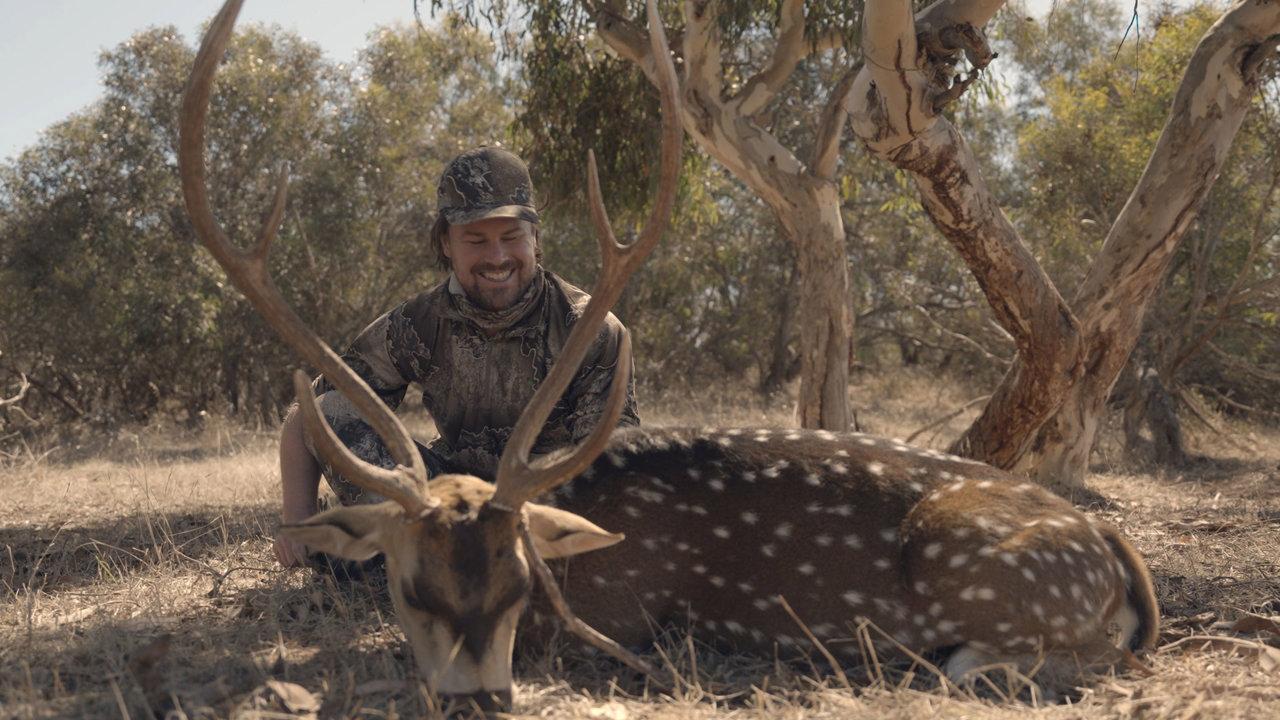 Flinders Ranges Hunting: Hunting Associations and Clubs and Unique Features of Hunting in that region, Demographics, Legislation System, Laws and Hunting Seasons 