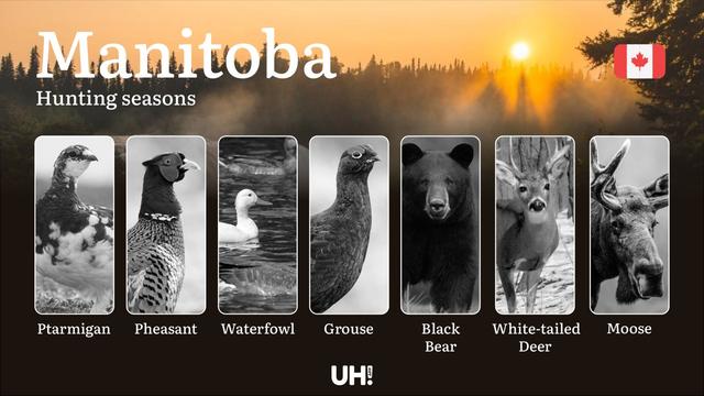 Hunting Seasons in MANITOBA (Canada): Official Opening/Closing Dates, Required Permits & Must-Know Regulations