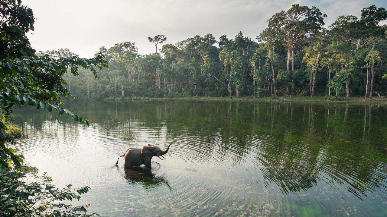 Hunting in Sud-Ubangi: Riverine Landscapes, Cultural Hunting Practices, and Wildlife Diversity