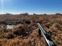 Hunting Territory of NABEUL: Localized Strategy and Hunting Behavior in Tunisia, Demographics and Laws

Natural Composition and Terrain Influence in the Nabeul

Nabeul oc