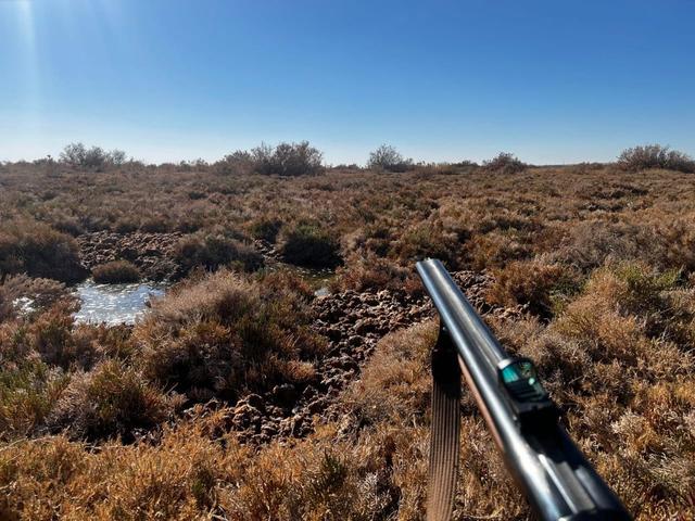 Hunting Territory of NABEUL: Localized Strategy and Hunting Behavior in Tunisia, Demographics and Laws