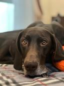 Charley