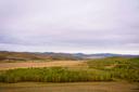 Bayankhongor Province: A Premier Hunting Destination in Southern Mongolia, Demographics, Associations and Clubs, Laws and Hunting Seasons

Nestled in the heart of souther