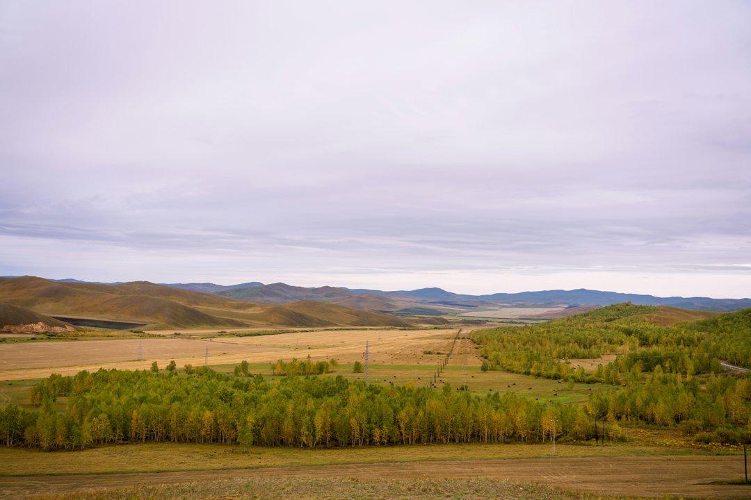 Bayankhongor Province: A Premier Hunting Destination in Southern Mongolia, Demographics, Associations and Clubs, Laws and Hunting Seasons