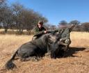 Blue wildebeest hunt available at Kovahange-Safaris