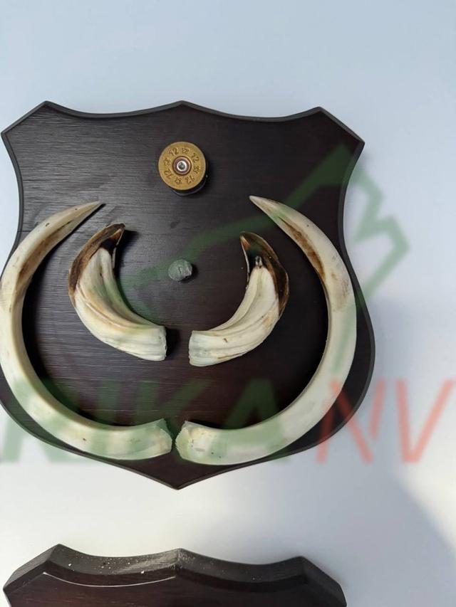 Photo from news post