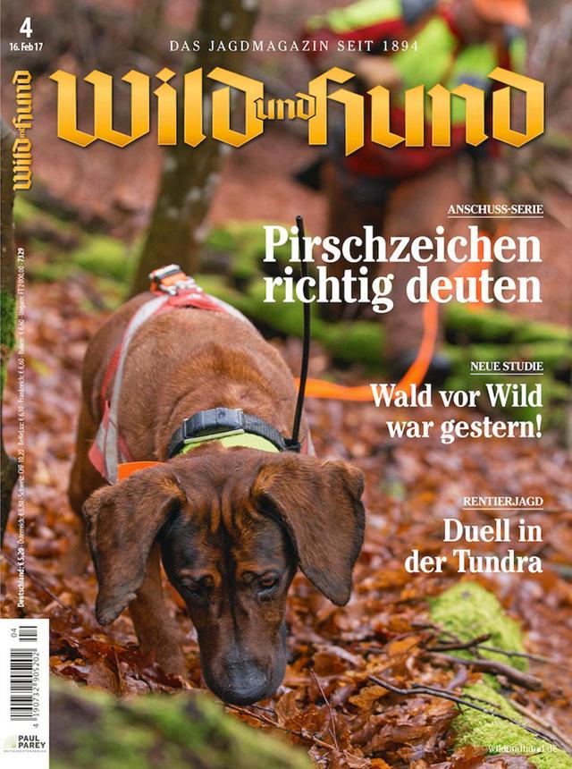 Photo from news post