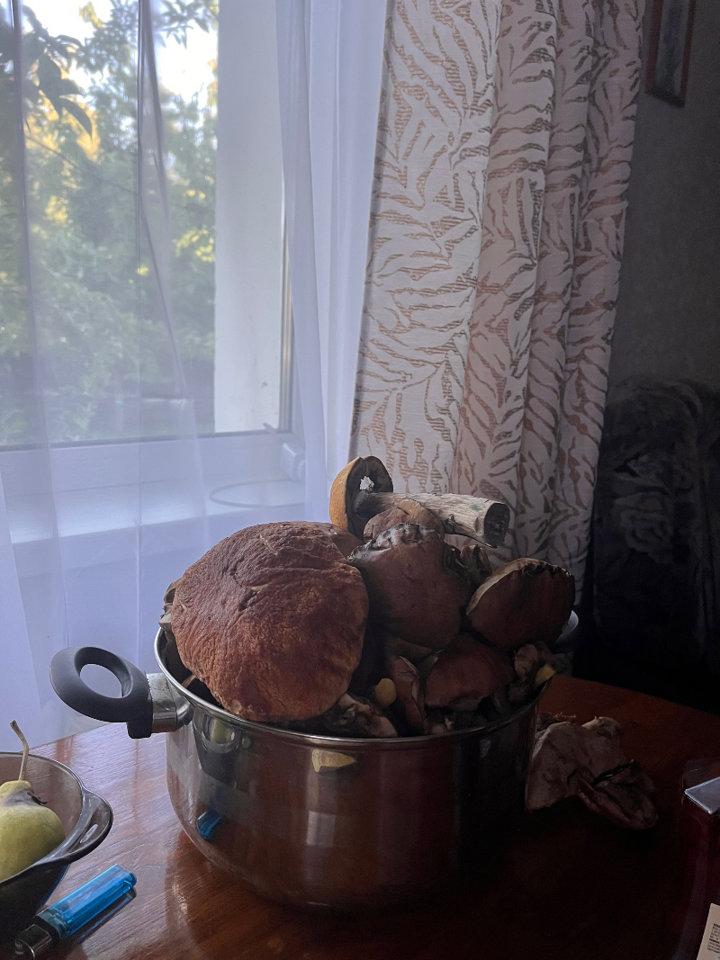 Photo from news post