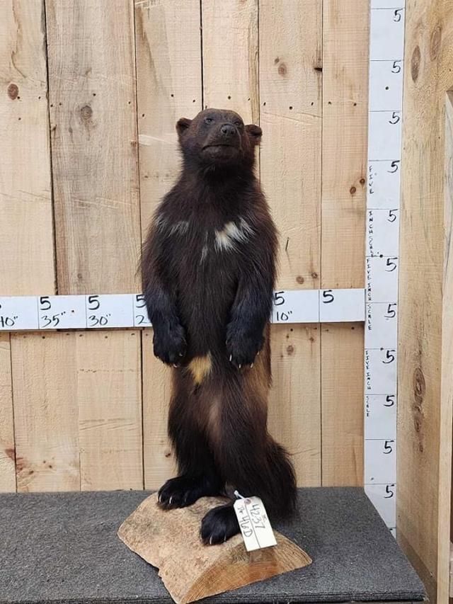 Photo from news post