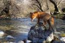 Весна - время охоты! 🌿🦌 Наконец-то пришло время отправиться на охоту и насладиться прекрасной природой, подняться на охотничью вышку и ощутить бурю эмоций, ожидающую нас на каждом шагу. С нетерпением жду этот момент, когда смогу оторваться от городской суеты и побыть наедине с природой. А какие у вас планы на весеннюю охоту? 🌼🔫 #охота #весна #природа #охотничьявышка #эмоции