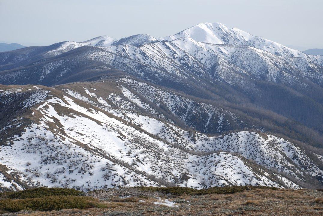 Victorian Alpine Hunting: Traditions and Challenges in High-Country Terrain, Demographics, Legislation System, Associations and Clubs, Laws and Hunting Seasons 