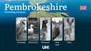 Hunting Seasons and Regulations in Pembrokeshire: Seasonal Game Patterns and License Requirements for Responsible Hunting

Pembrokeshire, a picturesque region in Wales, o