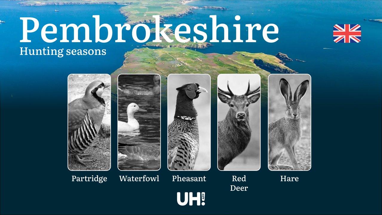 Hunting Seasons and Regulations in Pembrokeshire: Seasonal Game Patterns and License Requirements for Responsible Hunting