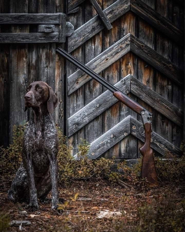 Photo from news post