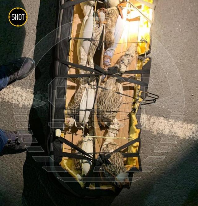 Photo from news post