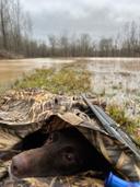 Happy National Dog Day to the bestest hunting buddies everywhere!

Show us those dog pics! 🐾

#NationalDogDay  

photo: Chocolate lab laying in a hunting blind in a wet 