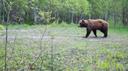 Hunting in Belarus
