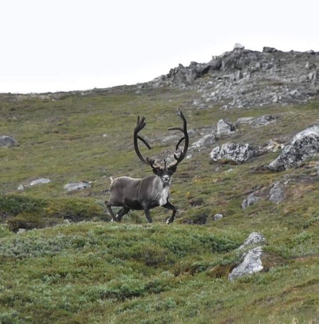 Photo from news post