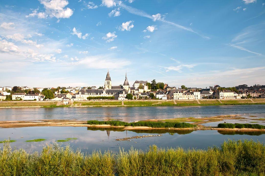 Chasse dans le LOIR-ET-CHER: Explorez une Faune Riche, des Saisons de Chasse Parfaites et des Paysages Magnifiques 
