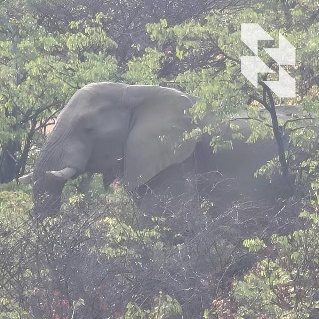 Photo from news post