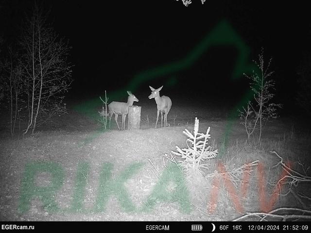 Photo from news post