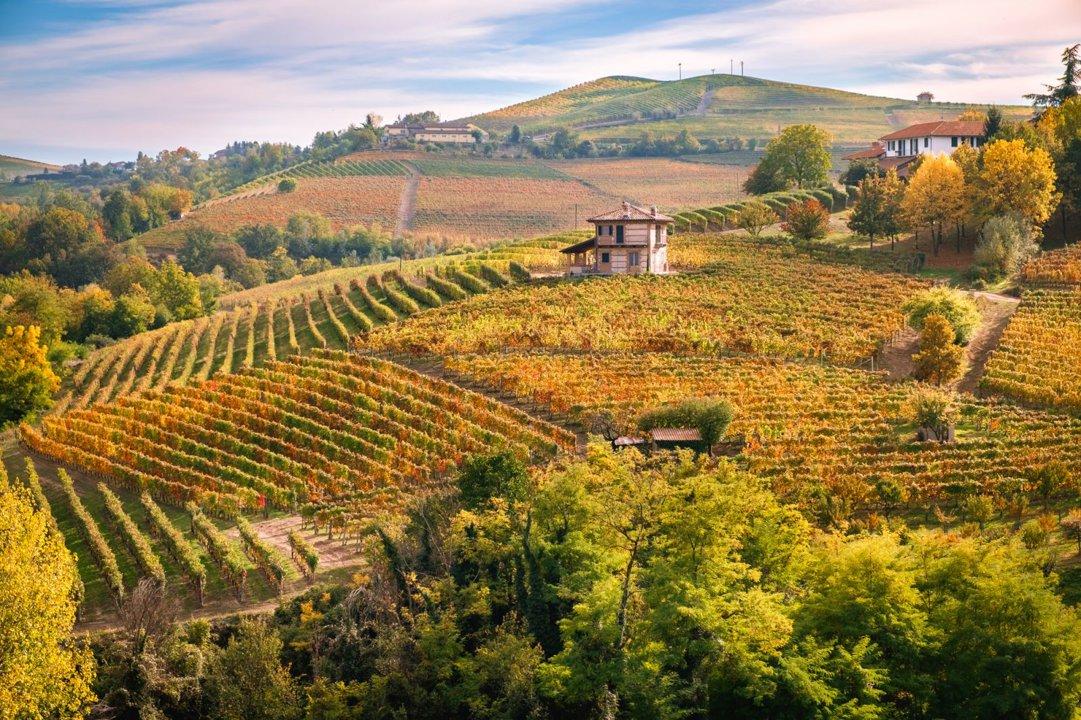 Hunting in PIEDMONT: Laws, Clubs, Hunting Seasons and Legislation.