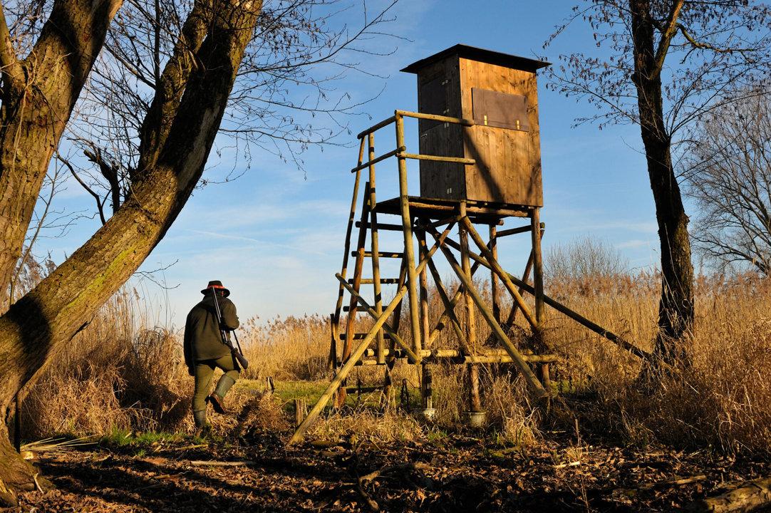 Jagd in NIEDERSACHSEN: Geographische und natürliche Besonderheiten, Jagdmethoden, Jagdvereine und Interessante Fakten zur Jagd in der Region