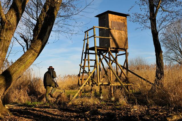 Jagd in NIEDERSACHSEN: Geographische und natürliche Besonderheiten, Jagdmethoden, Jagdvereine und Interessante Fakten zur Jagd in <strong>der</strong> Region