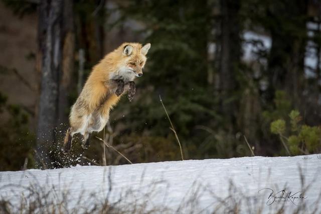 Photo from news post