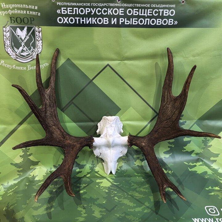 Photo from news post