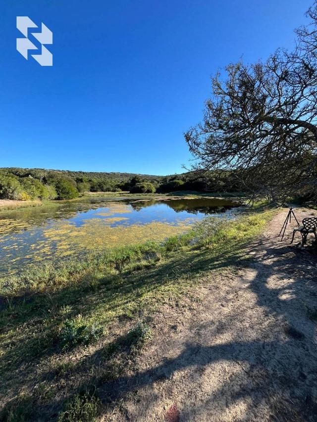 Mountain hunting in 🇿🇦 South Africa?