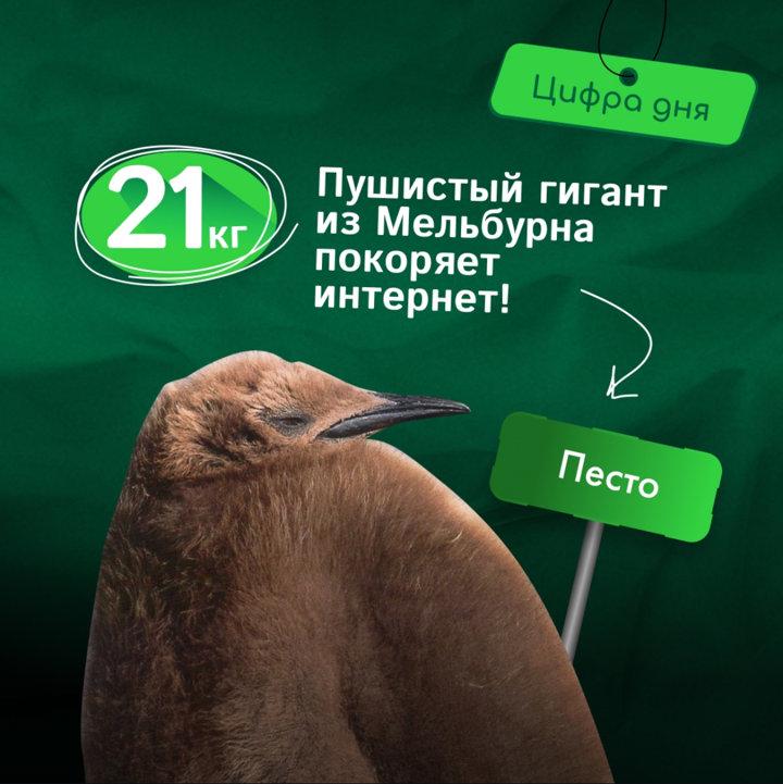 Photo from news post
