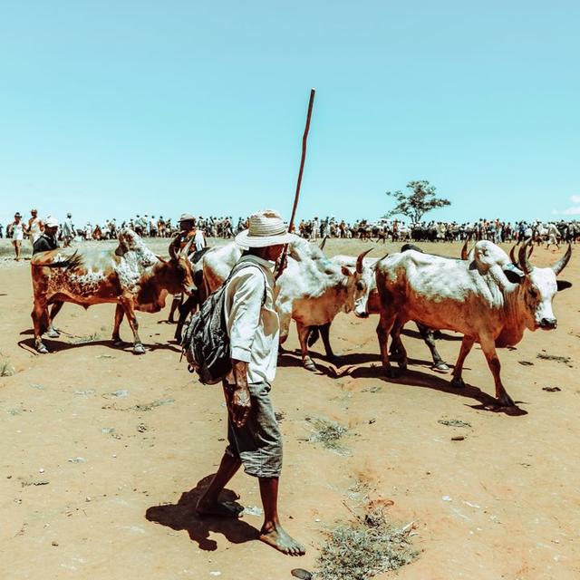 sudan_hunter avatar