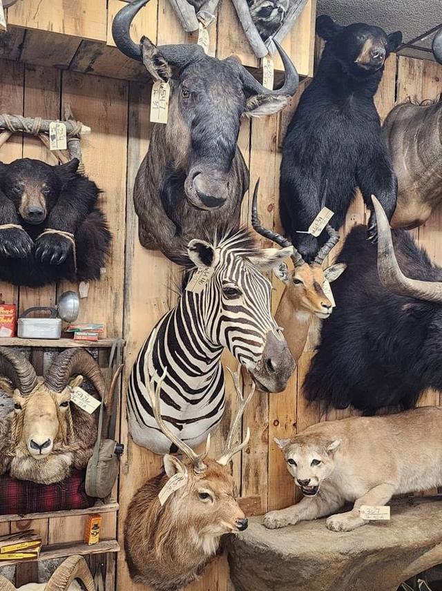 Photo from news post
