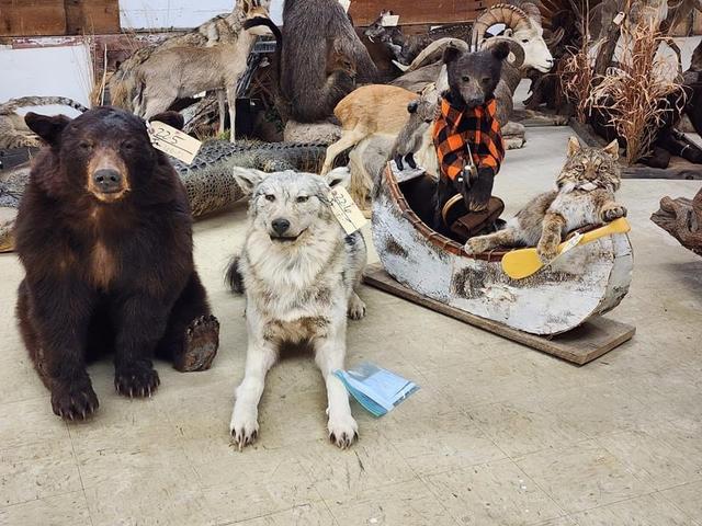 Photo from news post