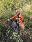 Salut à tous

La saison à commencé et je lance les invitations journalières pour les postée et les meutes .

Au prix de 10 euros pour la carte de chasse et 5 euros comme 