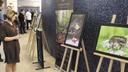 Fotografové z Klubu myslivecké jednoty vystavují v předsálí DKO

Členové Klubu fotografů při Českomoravské myslivecké jednotě vystavují do 28. dubna v předsálí divadelního sálu DKO Jihlava.   

Klub byl podle informace organizátorů výstavy založen v roce 1989 z iniciativy průkopníka „přírodní fotografie“ Slávy Štochla: „Jeho cílem bylo sdružit přední české a slovenské fotografy živé přírody do společnosti, která by reprezentovala československé lovy beze zbraní u nás i v zahraničí.“ 

Členové klubu vystavují, publikují v časopisech a dalších tiskovinách. Snaží se přispívat k zachování přírody a jejích krás pro příští generace. 