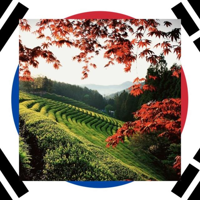 한국: 사냥과 낚시에 관한 모든 것, 뉴스, 포럼 avatar