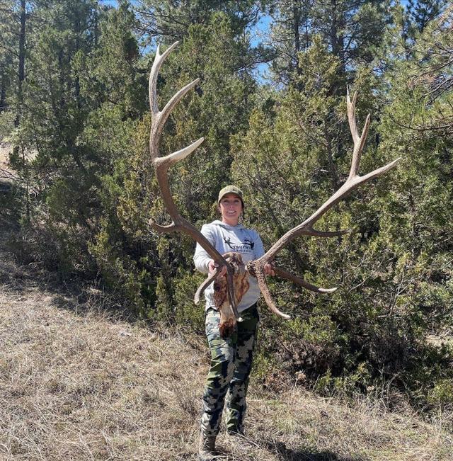Montana outdoorswoman found this substantial <strong>elk</strong> head recently.